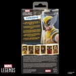Wolverine (Battle Damaged) - Marvel Legends Serie - Deadpool & Wolverine – Bild 14