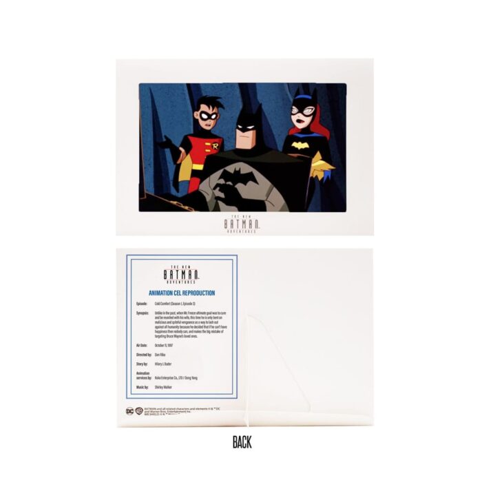 Batman (Silver) - DC Direct - The New Batman Adventure – Bild 8
