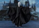 Lord Voldemort - Harry Potter und der Feuerkelch - S.H. Figuarts – Bild 4