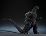 Godzilla vs. Biollante - Godzilla (1989) - S.H. Monster Arts - Movie Graphic Plus – Bild 5