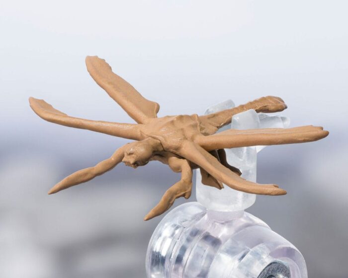 Megaguirus (Evolution Set) - Godzilla S.H. Monster Arts – Bild 8