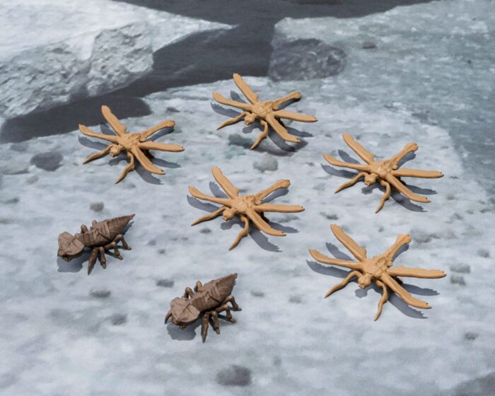 Megaguirus (Evolution Set) - Godzilla S.H. Monster Arts – Bild 9