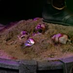 Shao Khan - Mortal Kombat - Art Scale Statue – Bild 7