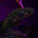 Red Beast Man - Masters of the Universe - Art Scale - Exclusive 2024 – Bild 10