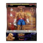 Sagat - Ultra Street Fighter 2: The Final Challengers – Bild 3