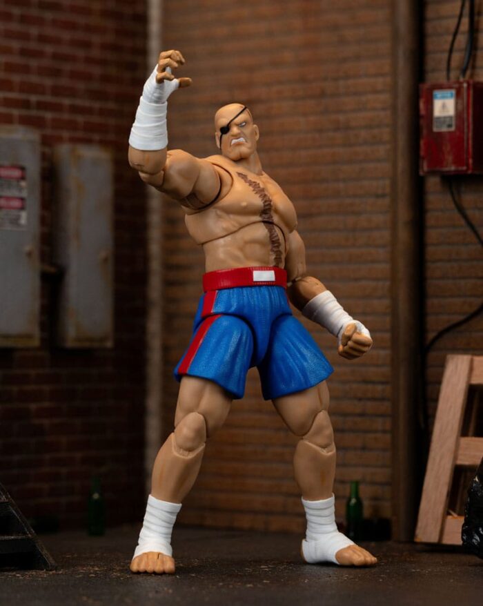 Sagat - Ultra Street Fighter 2: The Final Challengers – Bild 9