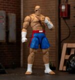 Sagat - Ultra Street Fighter 2: The Final Challengers – Bild 11