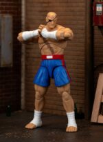 Sagat - Ultra Street Fighter 2: The Final Challengers – Bild 12
