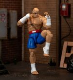 Sagat - Ultra Street Fighter 2: The Final Challengers – Bild 13