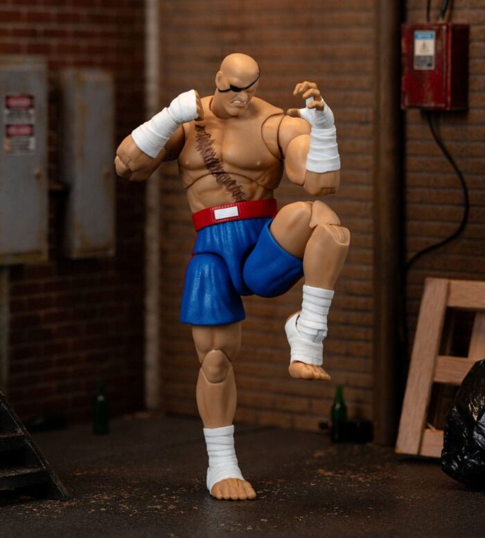 Sagat - Ultra Street Fighter 2: The Final Challengers – Bild 13