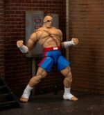 Sagat - Ultra Street Fighter 2: The Final Challengers – Bild 16