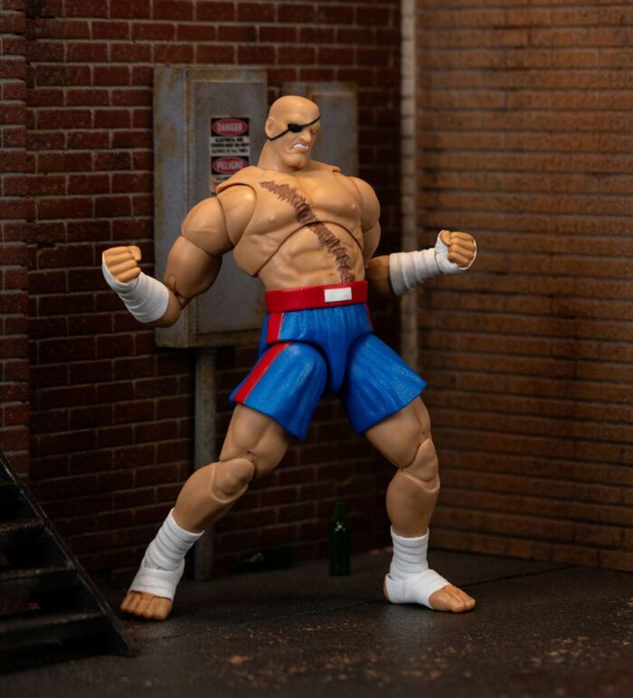 Sagat - Ultra Street Fighter 2: The Final Challengers – Bild 16