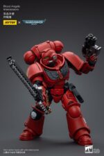 Blood Angels Intercessors - Warhammer 40k – Bild 10