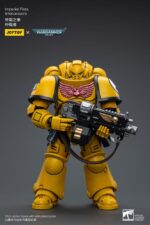 Imperial Fists Intercessors - Warhammer 40k – Bild 3