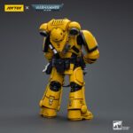 Imperial Fists Intercessors - Warhammer 40k – Bild 14