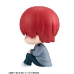 Shoto Todoroki - My Hero Academia - Look Up – Bild 7