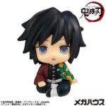 Giyu Tomioka (Verblüffte Version) - Demon Slayer: Kimetsu no Yaiba - Look Up