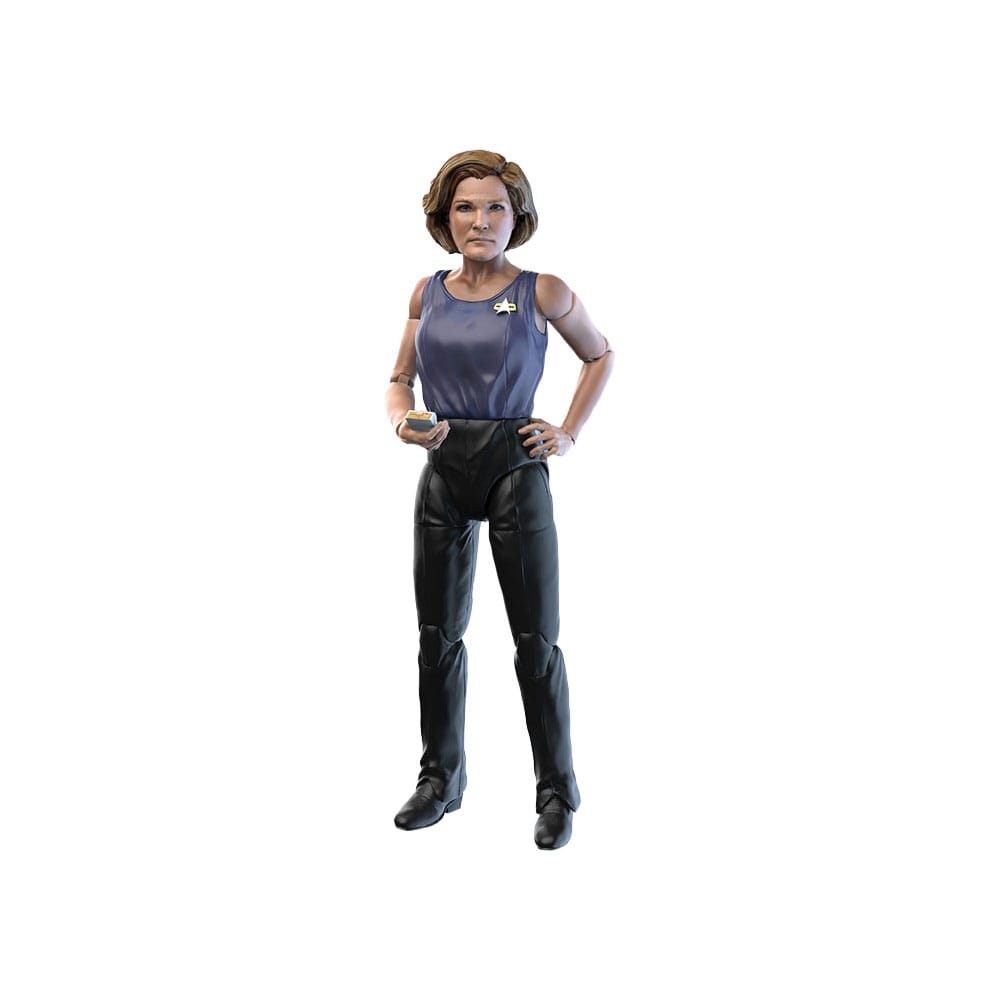 x_nac-1-strtrek-0015.jpg Captain Kathryn Janeway - Star Trek: Voyager - Year of Hell - Wave 2 – Bild 1