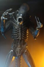 Big Chap - Alien – Bild 4