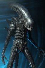 Big Chap - Alien – Bild 5