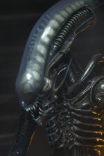 Big Chap - Alien – Bild 6