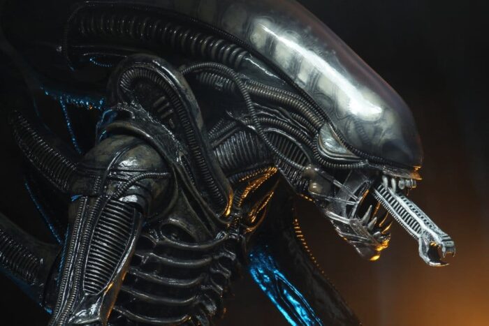 Big Chap - Alien – Bild 9