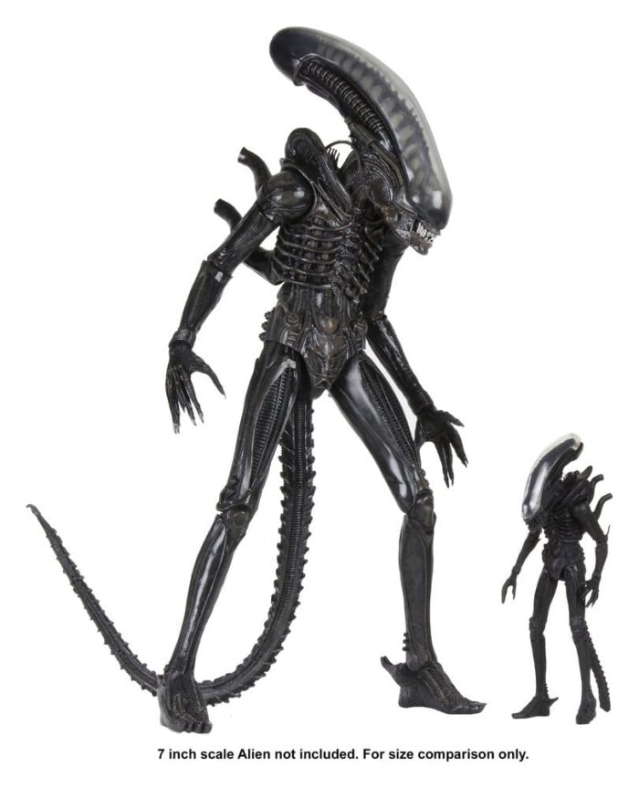 Big Chap - Alien – Bild 13