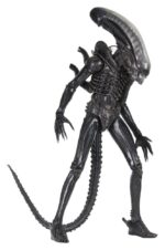 Big Chap - Alien – Bild 14