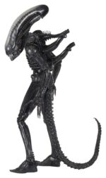 Big Chap - Alien – Bild 15