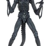Xenomorph Warrior (blau) – Aliens – Ultimate