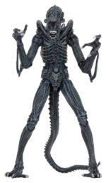 Xenomorph Warrior (blau) – Aliens – Ultimate