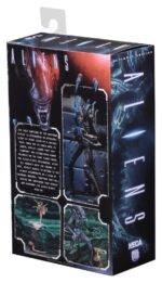 Xenomorph Warrior (blau) – Aliens – Ultimate – Bild 3