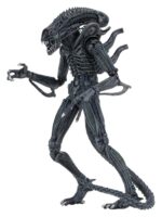 Xenomorph Warrior (blau) – Aliens – Ultimate – Bild 5