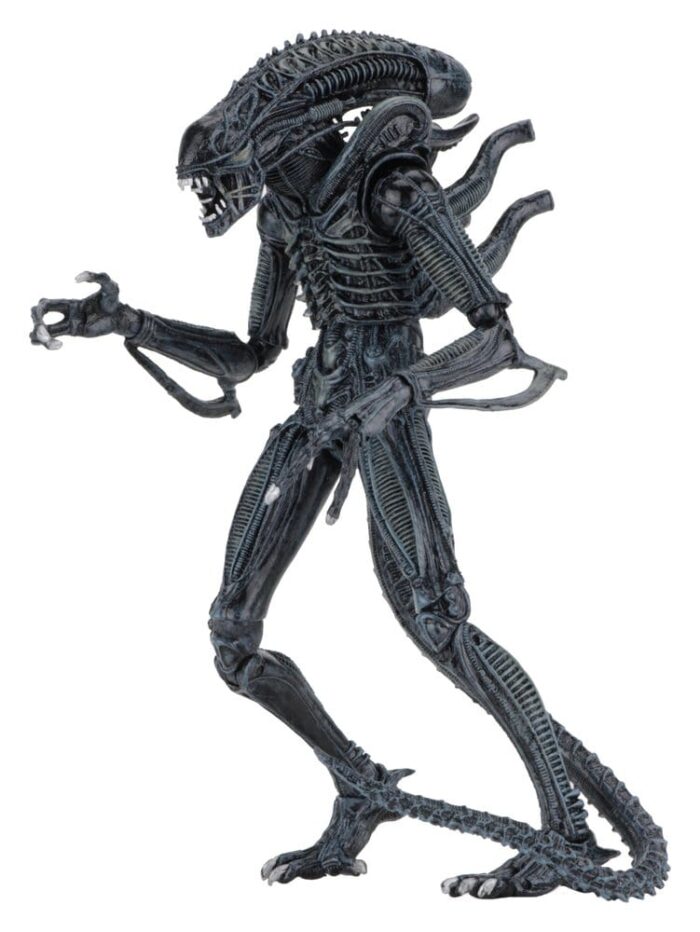 Xenomorph Warrior (blau) – Aliens – Ultimate – Bild 5