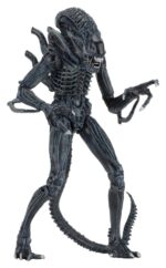Xenomorph Warrior (blau) – Aliens – Ultimate – Bild 6