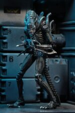 Xenomorph Warrior (blau) – Aliens – Ultimate – Bild 9