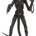 Xenomorph Warrior (braun) – Aliens – Ultimate