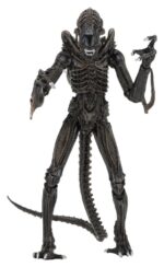 Xenomorph Warrior (braun) – Aliens – Ultimate