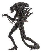 Xenomorph Warrior (braun) – Aliens – Ultimate – Bild 2