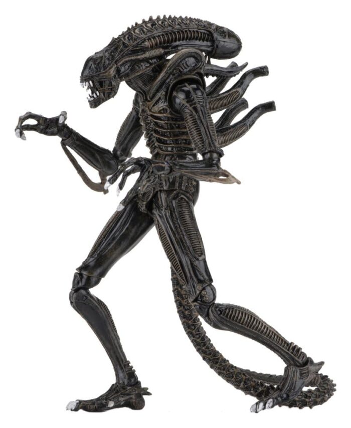Xenomorph Warrior (braun) – Aliens – Ultimate – Bild 2