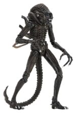 Xenomorph Warrior (braun) – Aliens – Ultimate – Bild 3
