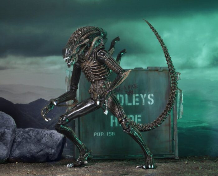 Xenomorph Warrior (braun) – Aliens – Ultimate – Bild 5