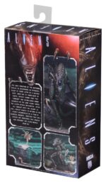 Xenomorph Warrior (braun) – Aliens – Ultimate – Bild 9