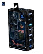 Xenomorph Warrior (schwarz) - Aliens - Ultimate - 40th Anniversary – Bild 3