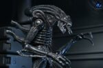 Xenomorph Warrior (schwarz) - Aliens - Ultimate - 40th Anniversary – Bild 4