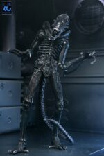 Xenomorph Warrior (schwarz) - Aliens - Ultimate - 40th Anniversary – Bild 5