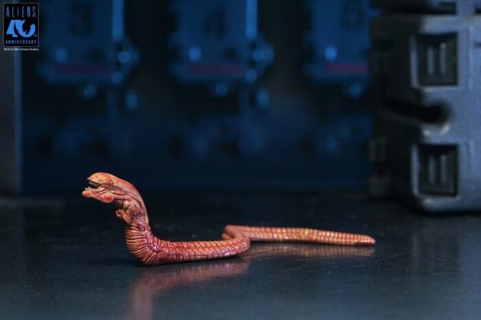 Xenomorph Warrior (schwarz) - Aliens - Ultimate - 40th Anniversary – Bild 10