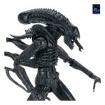 Xenomorph Warrior (schwarz) - Aliens - Ultimate - 40th Anniversary – Bild 11
