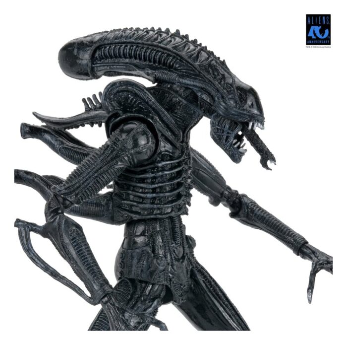 Xenomorph Warrior (schwarz) - Aliens - Ultimate - 40th Anniversary – Bild 11