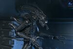 Xenomorph Warrior (schwarz) - Aliens - Ultimate - 40th Anniversary – Bild 12